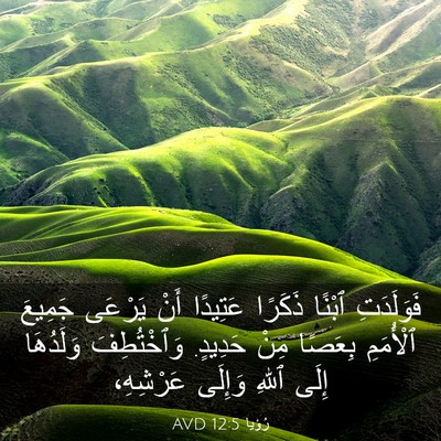 Picture 03 - رُؤيا 12:5 AVD - فَوَلَدَتِ ٱبْنًا ذَكَرًا - Bible Verse Picture