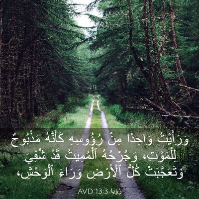 Picture 03 - رُؤيا 13:3 AVD - وَرَأَيْتُ وَاحِدًا مِنْ - Bible Verse Picture