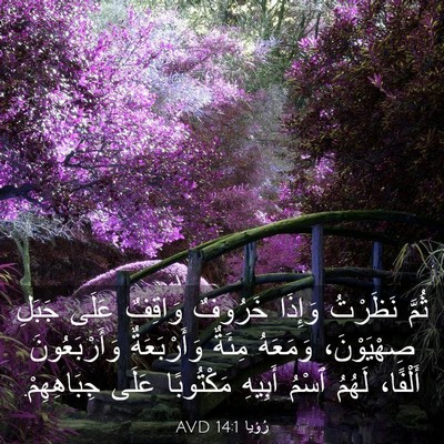 Picture 03 - رُؤيا 14:1 AVD - ثُمَّ نَظَرْتُ وَإِذَا - Bible Verse Picture