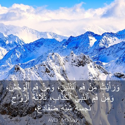 Picture 03 - رُؤيا 16:13 AVD - وَرَأَيْتُ مِنْ فَمِ - Bible Verse Picture