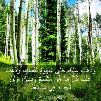 Picture 03 - رُؤيا 18:14 AVD - وَذَهَبَ عَنْكِ جَنَى - Bible Verse Picture