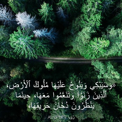 Picture 03 - رُؤيا 18:9 AVD - «وَسَيَبْكِي وَيَنُوحُ - Bible Verse Picture