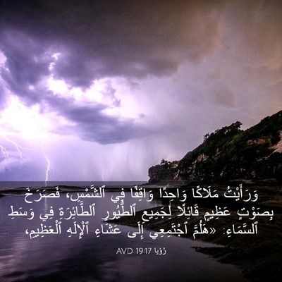 Picture 03 - رُؤيا 19:17 AVD - وَرَأَيْتُ مَلَاكًا - Bible Verse Picture