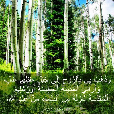 Picture 03 - رُؤيا 21:10 AVD - وَذَهَبَ بِي بِٱلرُّوحِ - Bible Verse Picture