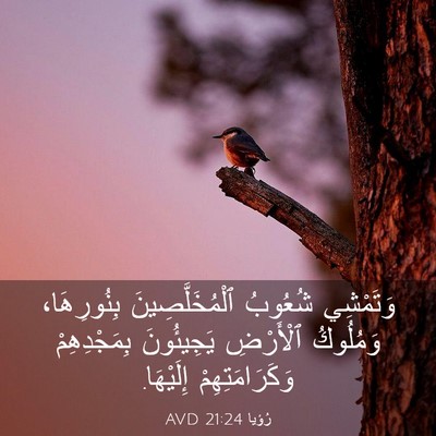 Picture 03 - رُؤيا 21:24 AVD - وَتَمْشِي شُعُوبُ - Bible Verse Picture