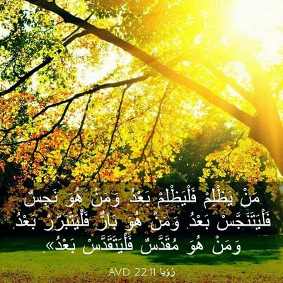 Picture 03 - رُؤيا 22:11 AVD - مَنْ يَظْلِمْ - Bible Verse Picture
