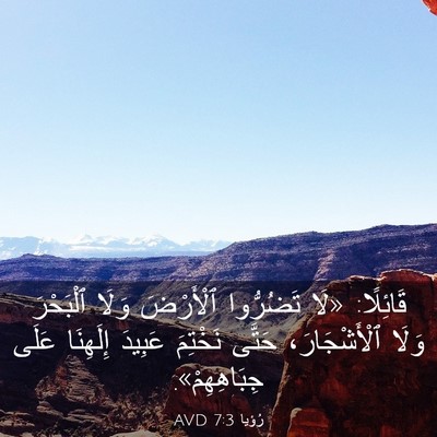 Picture 03 - رُؤيا 7:3 AVD - قَائِلًا: «لَا تَضُرُّوا - Bible Verse Picture