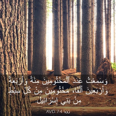 Picture 03 - رُؤيا 7:4 AVD - وَسَمِعْتُ عَدَدَ - Bible Verse Picture