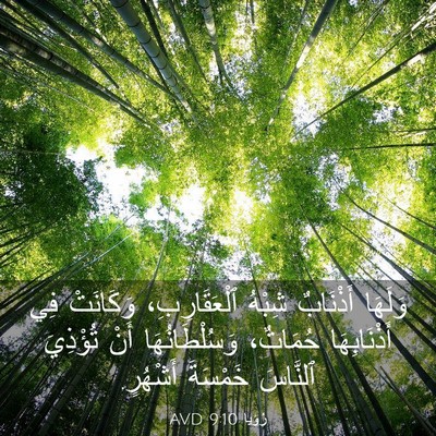 Picture 03 - رُؤيا 9:10 AVD - وَلَهَا أَذْنَابٌ شِبْهُ - Bible Verse Picture