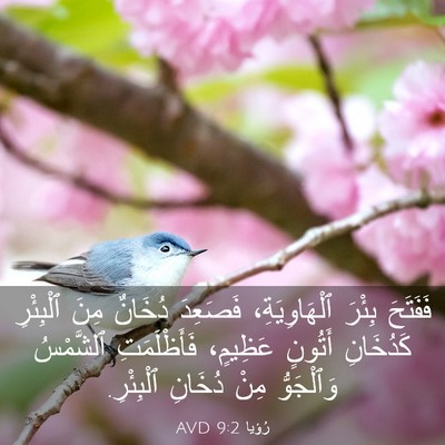 Picture 03 - رُؤيا 9:2 AVD - فَفَتَحَ بِئْرَ - Bible Verse Picture