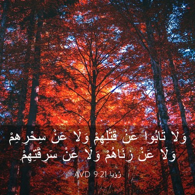 Picture 03 - رُؤيا 9:21 AVD - وَلَا تَابُوا عَنْ - Bible Verse Picture