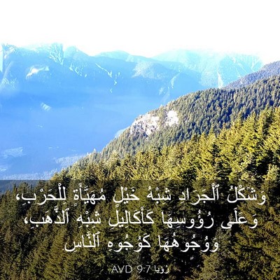 Picture 03 - رُؤيا 9:7 AVD - وَشَكْلُ ٱلْجَرَادِ - Bible Verse Picture