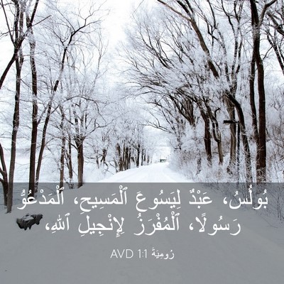 Picture 03 - رُومِيَةَ 1:1 AVD - بُولُسُ، عَبْدٌ لِيَسُوعَ - Bible Verse Picture