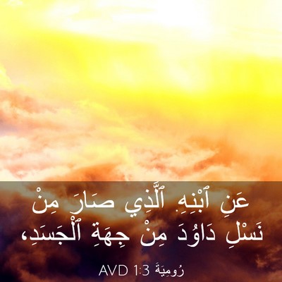 Picture 03 - رُومِيَةَ 1:3 AVD - عَنِ ٱبْنِهِ. ٱلَّذِي - Bible Verse Picture