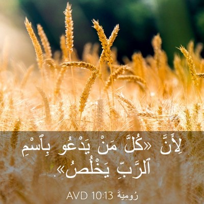 Picture 03 - رُومِيَةَ 10:13 AVD - لِأَنَّ «كُلَّ مَنْ - Bible Verse Picture