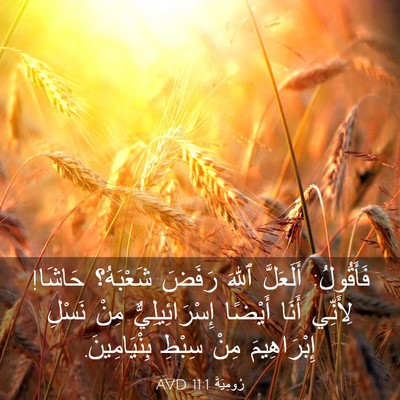 Picture 03 - رُومِيَةَ 11:1 AVD - فَأَقُولُ: أَلَعَلَّ ٱللهَ - Bible Verse Picture