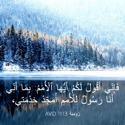 Picture 03 - رُومِيَةَ 11:13 AVD - فَإِنِّي أَقُولُ لَكُمْ - Bible Verse Picture