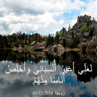 Picture 03 - رُومِيَةَ 11:14 AVD - لَعَلِّي أُغِيرُ - Bible Verse Picture