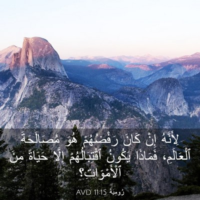 Picture 03 - رُومِيَةَ 11:15 AVD - لِأَنَّهُ إِنْ كَانَ - Bible Verse Picture