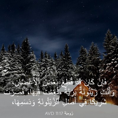 Picture 03 - رُومِيَةَ 11:17 AVD - فَإِنْ كَانَ قَدْ قُطِعَ - Bible Verse Picture
