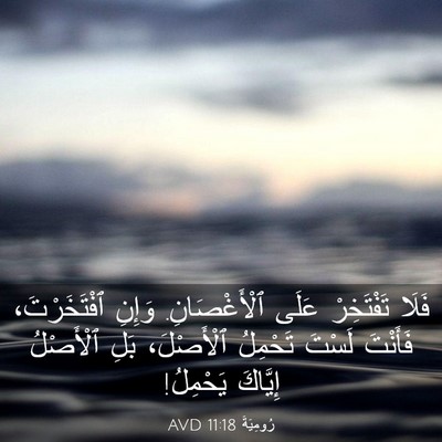 Picture 03 - رُومِيَةَ 11:18 AVD - فَلَا تَفْتَخِرْ عَلَى - Bible Verse Picture