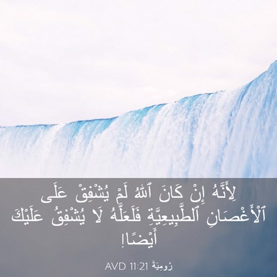 Picture 03 - رُومِيَةَ 11:21 AVD - لِأَنَّهُ إِنْ كَانَ ٱللهُ - Bible Verse Picture