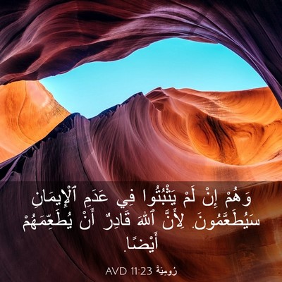 Picture 03 - رُومِيَةَ 11:23 AVD - وَهُمْ إِنْ لَمْ - Bible Verse Picture