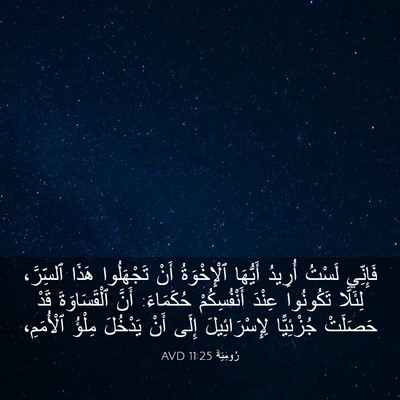 Picture 03 - رُومِيَةَ 11:25 AVD - فَإِنِّي لَسْتُ أُرِيدُ - Bible Verse Picture