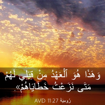 Picture 03 - رُومِيَةَ 11:27 AVD - وَهَذَا هُوَ ٱلْعَهْدُ - Bible Verse Picture