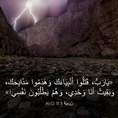 Picture 03 - رُومِيَةَ 11:3 AVD - «يَارَبُّ، قَتَلُوا - Bible Verse Picture