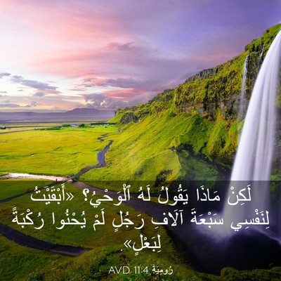 Picture 03 - رُومِيَةَ 11:4 AVD - لَكِنْ مَاذَا يَقُولُ لَهُ - Bible Verse Picture