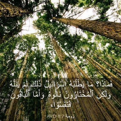 Picture 03 - رُومِيَةَ 11:7 AVD - فَمَاذَا؟ مَا يَطْلُبُهُ - Bible Verse Picture