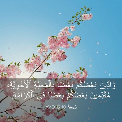 Picture 03 - رُومِيَةَ 12:10 AVD - وَادِّينَ بَعْضُكُمْ - Bible Verse Picture