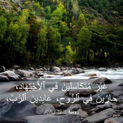 Picture 03 - رُومِيَةَ 12:11 AVD - غَيْرَ مُتَكَاسِلِينَ فِي - Bible Verse Picture