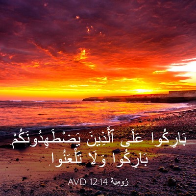 Picture 03 - رُومِيَةَ 12:14 AVD - بَارِكُوا عَلَى ٱلَّذِينَ - Bible Verse Picture