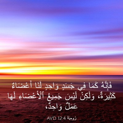 Picture 03 - رُومِيَةَ 12:4 AVD - فَإِنَّهُ كَمَا فِي جَسَدٍ - Bible Verse Picture