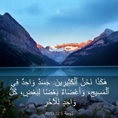 Picture 03 - رُومِيَةَ 12:5 AVD - هَكَذَا نَحْنُ - Bible Verse Picture