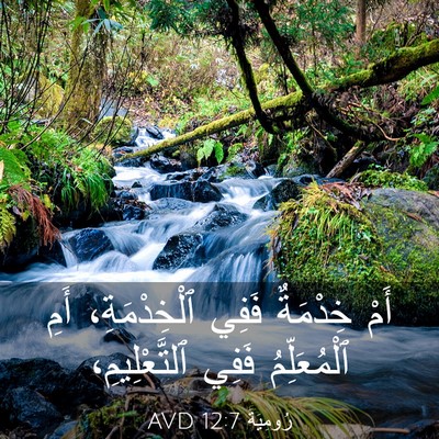 Picture 03 - رُومِيَةَ 12:7 AVD - أَمْ خِدْمَةٌ فَفِي - Bible Verse Picture