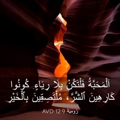 Picture 03 - رُومِيَةَ 12:9 AVD - اَلْمَحَبَّةُ فَلْتَكُنْ - Bible Verse Picture