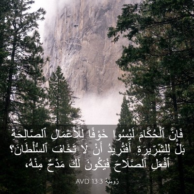 Picture 03 - رُومِيَةَ 13:3 AVD - فَإِنَّ ٱلْحُكَّامَ - Bible Verse Picture