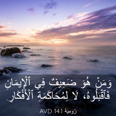 Picture 03 - رُومِيَةَ 14:1 AVD - وَمَنْ هُوَ ضَعِيفٌ فِي - Bible Verse Picture