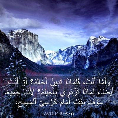 Picture 03 - رُومِيَةَ 14:10 AVD - وَأَمَّا أَنْتَ، - Bible Verse Picture