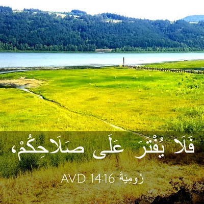 Picture 03 - رُومِيَةَ 14:16 AVD - فَلَا يُفْتَرَ عَلَى - Bible Verse Picture