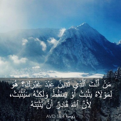 Picture 03 - رُومِيَةَ 14:4 AVD - مَنْ أَنْتَ ٱلَّذِي - Bible Verse Picture