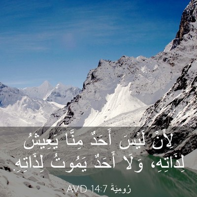 Picture 03 - رُومِيَةَ 14:7 AVD - لِأَنْ لَيْسَ أَحَدٌ - Bible Verse Picture