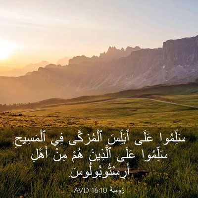 Picture 03 - رُومِيَةَ 16:10 AVD - سَلِّمُوا عَلَى أَبَلِّسَ - Bible Verse Picture