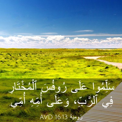 Picture 03 - رُومِيَةَ 16:13 AVD - سَلِّمُوا عَلَى رُوفُسَ - Bible Verse Picture