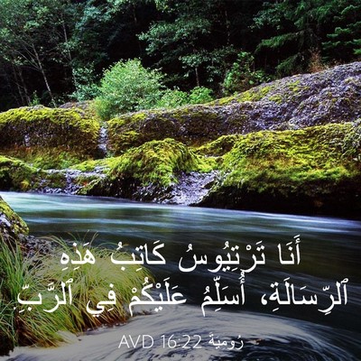 Picture 03 - رُومِيَةَ 16:22 AVD - أَنَا تَرْتِيُوسُ كَاتِبُ - Bible Verse Picture