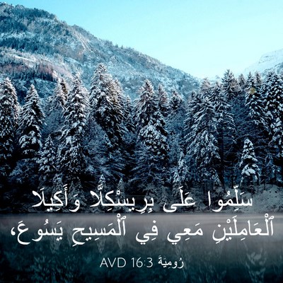 Picture 03 - رُومِيَةَ 16:3 AVD - سَلِّمُوا عَلَى - Bible Verse Picture