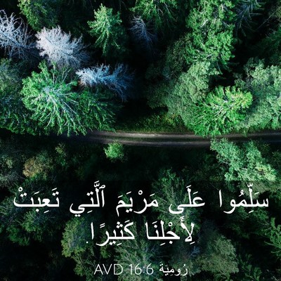 Picture 03 - رُومِيَةَ 16:6 AVD - سَلِّمُوا عَلَى مَرْيَمَ - Bible Verse Picture
